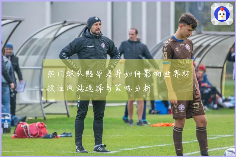 热门球队赔率差异如何影响世界杯投注网站选择与策略分析