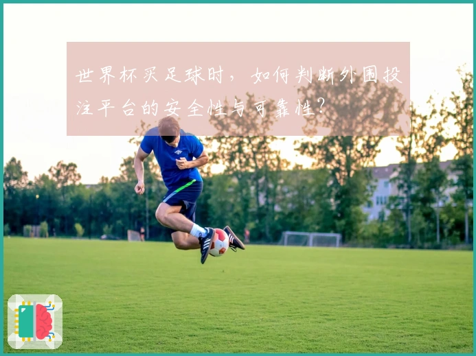 世界杯买足球时，如何判断外围投注平台的安全性与可靠性？