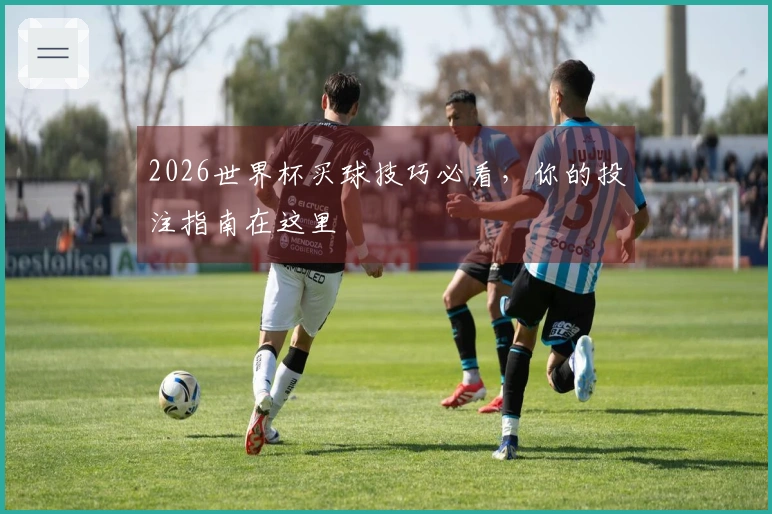 2026世界杯买球技巧必看，你的投注指南在这里