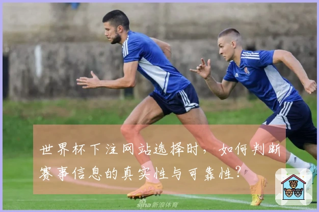 世界杯下注网站选择时,如何判断赛事信息的真实性与可靠性?