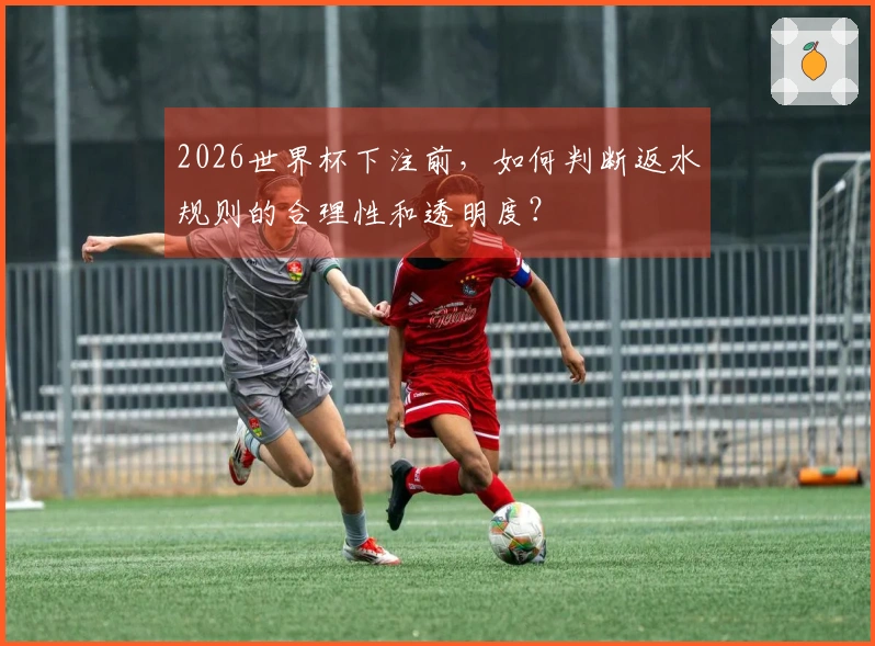 2026世界杯下注前，如何判断返水规则的合理性和透明度？