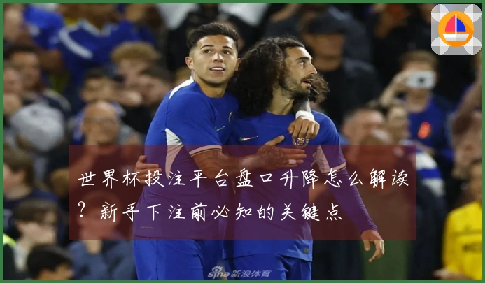 世界杯投注平台盘口升降怎么解读？新手下注前必知的关键点