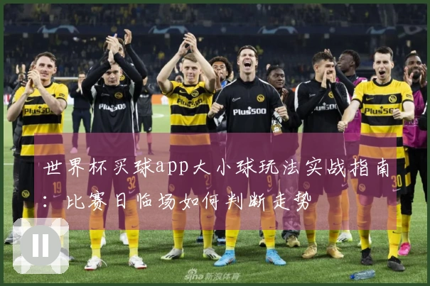 世界杯买球app大小球玩法实战指南：比赛日临场如何判断走势