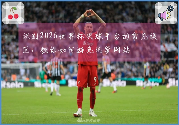 识别2026世界杯买球平台的常见误区，教你如何避免坑爹网站