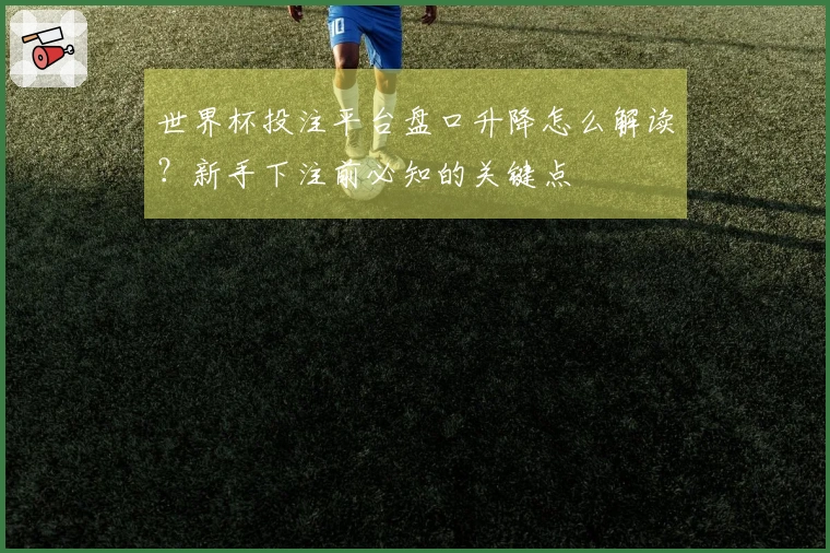 世界杯投注平台盘口升降怎么解读?新手下注前必知的关键点