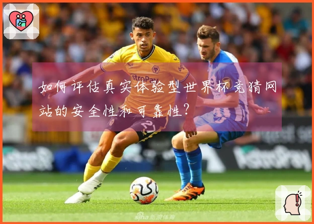 如何评估真实体验型世界杯竞猜网站的安全性和可靠性？
