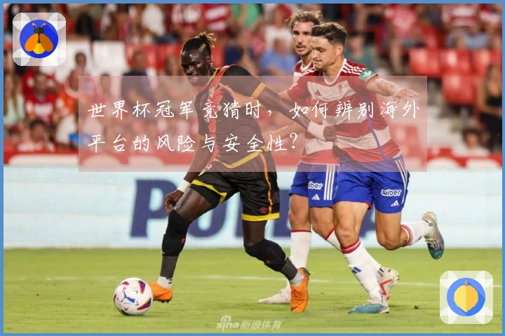 世界杯冠军竞猜时，如何辨别海外平台的风险与安全性？