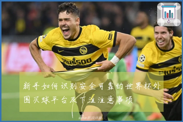 新手如何识别安全可靠的世界杯外围买球平台及下注注意事项