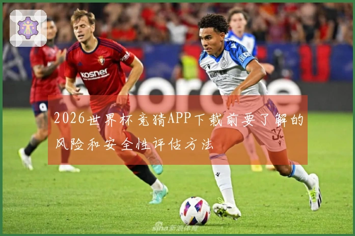 2026世界杯竞猜APP下载前要了解的风险和安全性评估方法