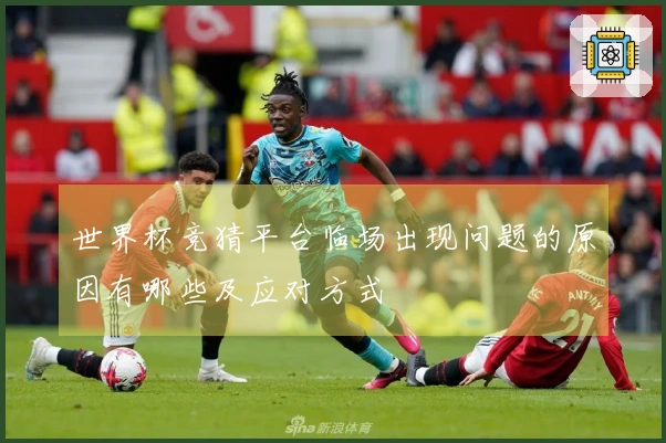 世界杯竞猜平台临场出现问题的原因有哪些及应对方式