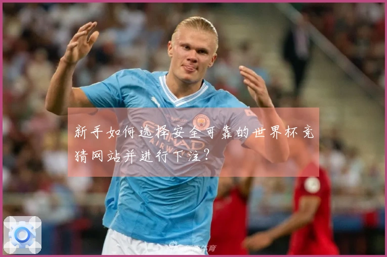 新手如何选择安全可靠的世界杯竞猜网站并进行下注？