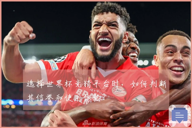 选择世界杯竞猜平台时，如何判断其信誉和使用体验？