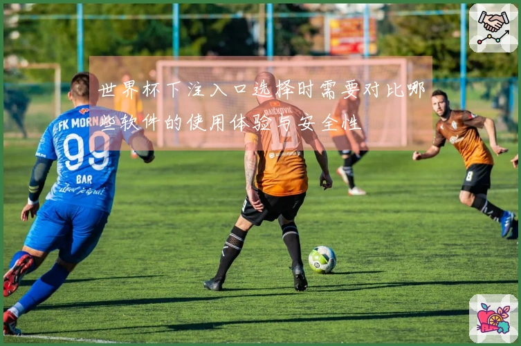 世界杯下注入口选择时需要对比哪些软件的使用体验与安全性