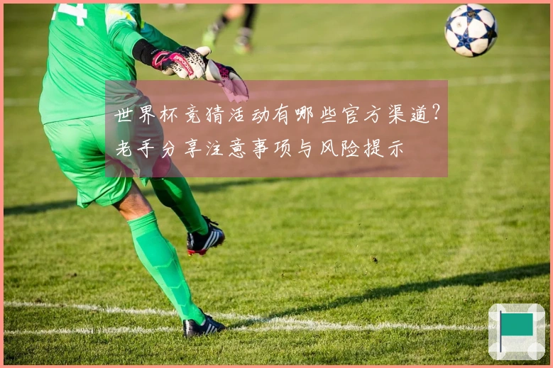 世界杯竞猜活动有哪些官方渠道？老手分享注意事项与风险提示