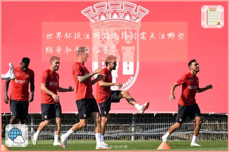 世界杯投注网站选择时需关注哪些赔率和平台信誉？