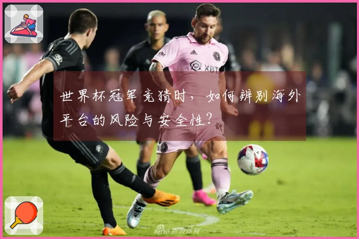世界杯冠军竞猜时,如何辨别海外平台的风险与安全性?