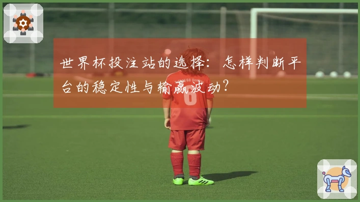 世界杯投注站的选择：怎样判断平台的稳定性与输赢波动？