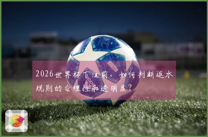 2026世界杯下注前，如何判断返水规则的合理性和透明度？