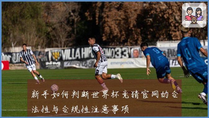 新手如何判断世界杯竞猜官网的合法性与合规性注意事项