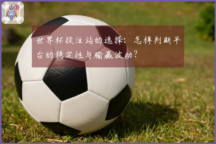 世界杯投注站的选择：怎样判断平台的稳定性与输赢波动？