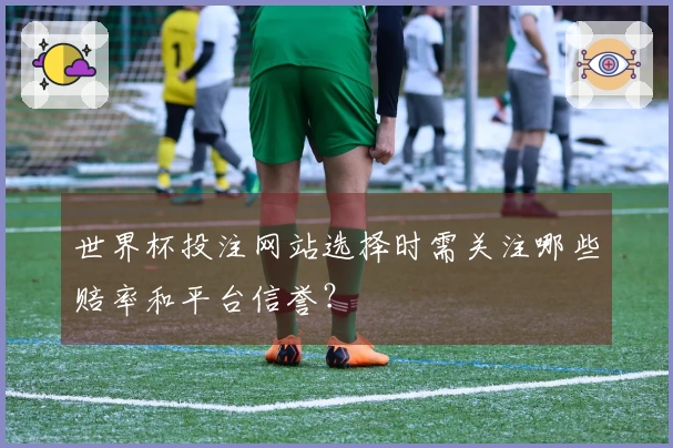 世界杯投注网站选择时需关注哪些赔率和平台信誉？