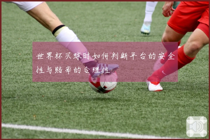 世界杯买球时如何判断平台的安全性与赔率的合理性