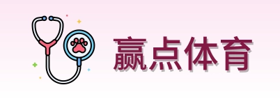 赢点体育 Logo